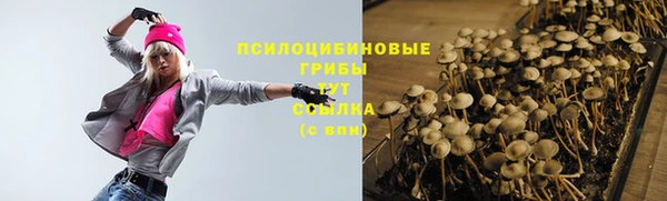 a pvp Киреевск
