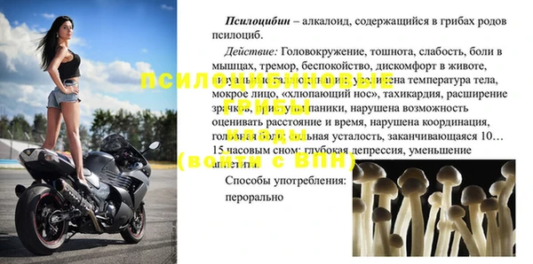 соль ск Козловка
