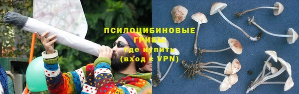 ECSTASY Кодинск