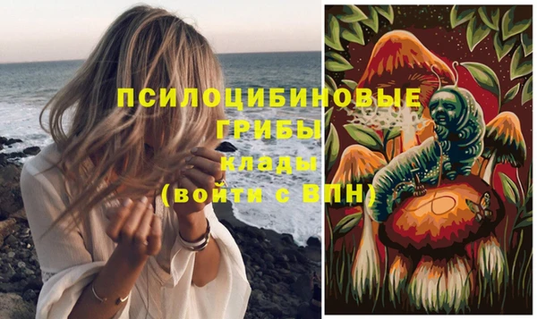 кокс Кинешма