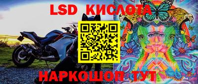 гидра Кинель
