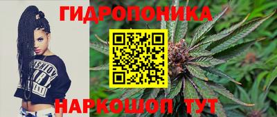 гидра Кинель