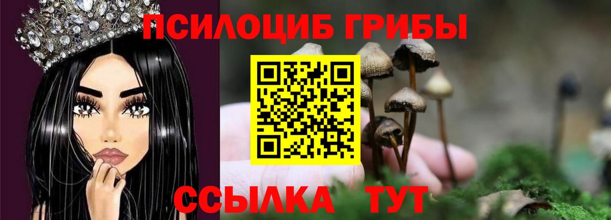 Галлюциногенные грибы Cubensis  Псилоцибиновые грибы MAGIC MUSHROOMS  магазин продажи наркотиков  Кстово  Вход с VPN 